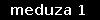 meduza 1