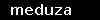 meduza