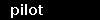 pilot