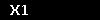 X1