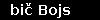 bič Bojs