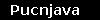 Pucnjava