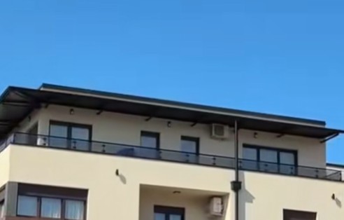 Stanija Dobrojević Stanija Dobrojević