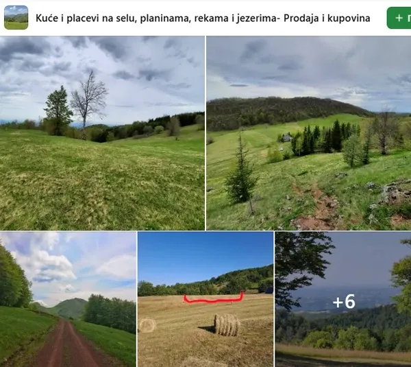 plac