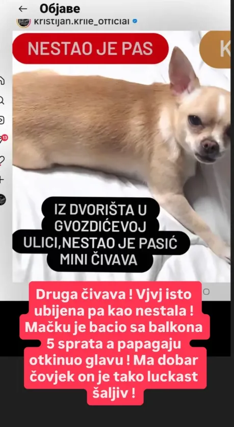 Pas Kristine Spalević