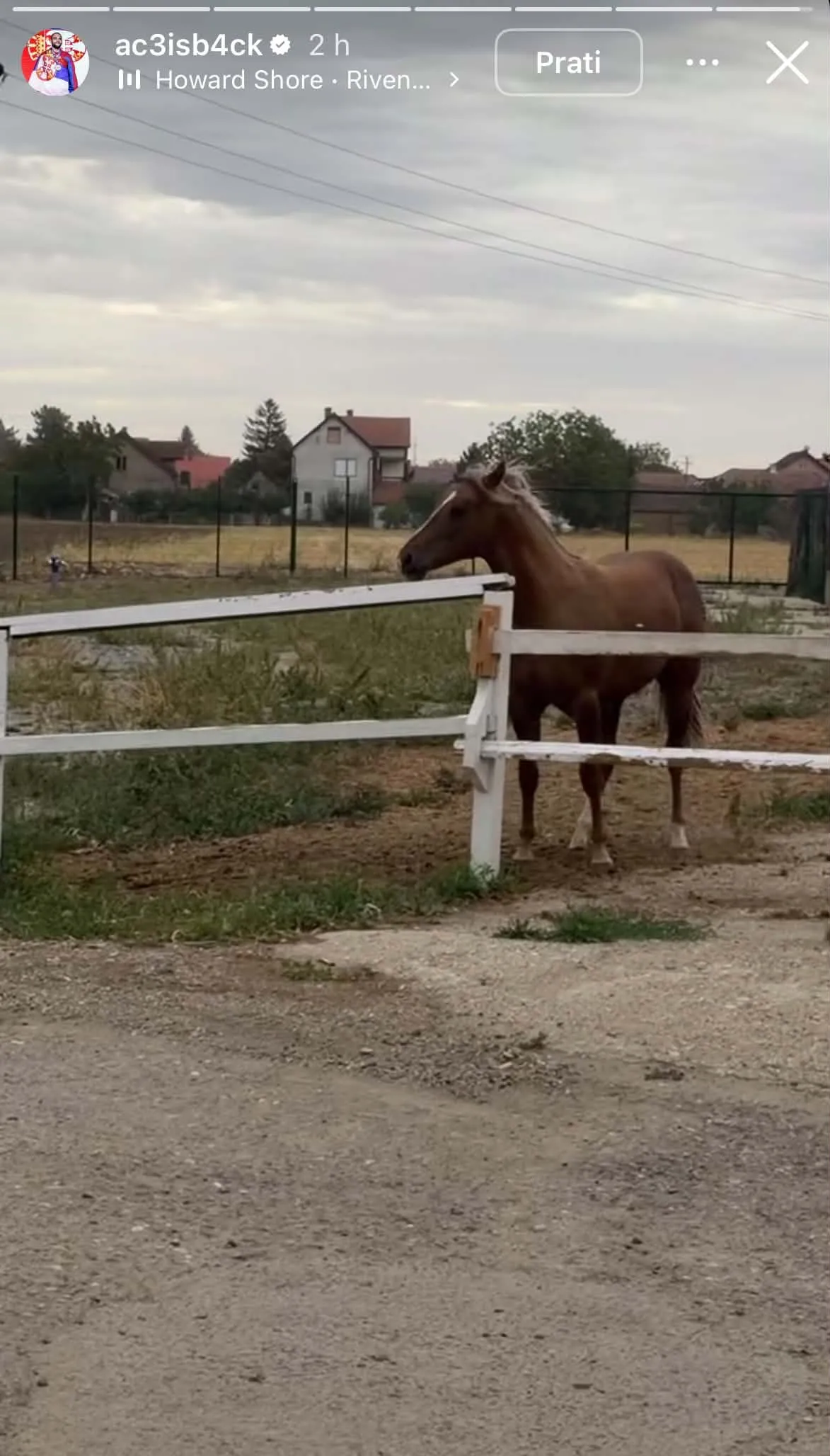 Farma Veljka Ražnatovića 