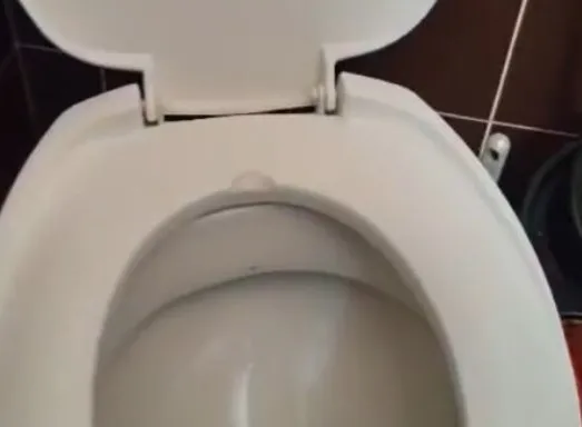 sss