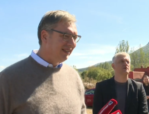 Vučić Vučić
