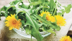 Čisti krvne sudove: Recept za džem od maslačka