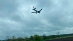 Avion morao da se vrati nakon udarca u pticu, a turisti su potom na pisti videli mrtvu grabljivicu