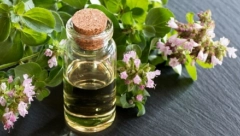 NEVEROVATAN ZAČIN KOJI JE DOBAR U PREVENCIJI MNOGIH BOLESTI Evo zbog čega je dobro origano uvrstiti u svakodnevnu ishranu