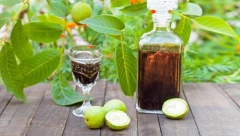 KAKO SE PRAVI ORAHOVAČA- LIKER BOLJI OD LEKOVA Prirodni eliksir za štitnu žlezdu, želudac, pluća i ubrzavanje metabolizma