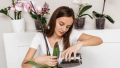 Super trik: Ako stavite ovo na dno saksije vaše biljke neće uvenuti i brže će rasti