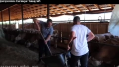 TRI GENERACIJE SEDLAREVIĆA ŽIVE SLOŽNO NA SELU: Snaja Bojana poručuje da nije bitno da li si na Dedinju ili na selu sa kravama