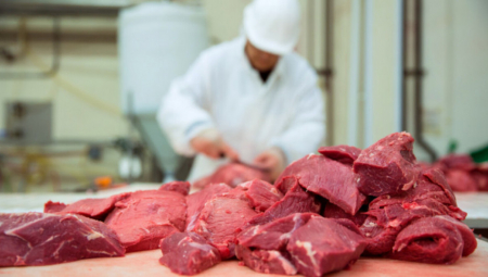 Nutricionistkinja Borjana: Evo kako da  prepoznate meso kljukano hormonima - ima ga u SVAKOJ prodavnici! Deca nikako ne bi smela da ga jedu!