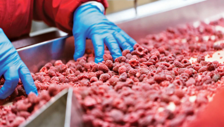 Cena omiljene voćke u Srbiji dostigla neverovatnu cifru: Proizvođači zabrinuti