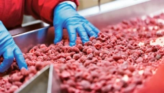 Cena omiljene voćke u Srbiji dostigla neverovatnu cifru: Proizvođači zabrinuti