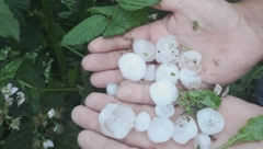 JAK GRAD NAPRAVIO VELIKU ŠTETU U selu kod Čačka nepogoda razorila stabla jabuke, kruške i šljive