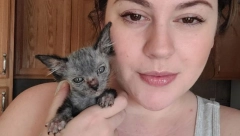 Mače za koje su mislili da je "bolesno" ispostavilo se da je neverovatno retka vrsta! (VIDEO)