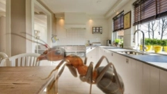 KAKO SE REŠITI MRAVA U KUĆI NA STARINSKI NAČIN: Spremite im jeftinu „poslednju večeru“