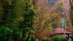 BELGIJANCI SE IZGUBILI U PRAŠUMI Pronašla ih biogradska Služba spašavanja