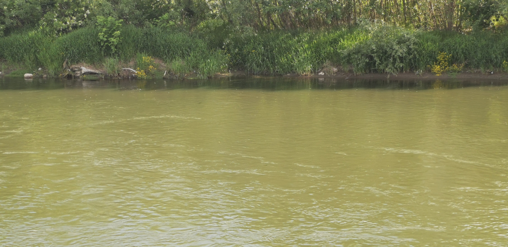 STAVILI BEBU U KUTIJU SA IKONOM I PUSTILI NIZ REKU: Ribar je spasio kada je čuo plač (FOTO/VIDEO)