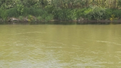 Turistički brod zaplovio Moravom