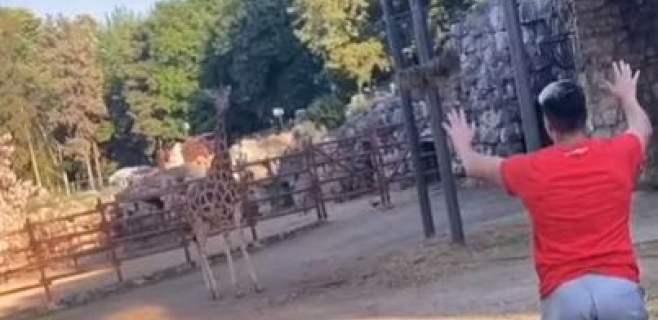 Nepromišljenim potezom beogradski tiktoker je ugrozio svoju bezbednost: Da li će snositi neke posledice? (VIDEO)