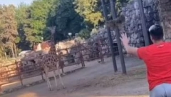 Nepromišljenim potezom beogradski tiktoker je ugrozio svoju bezbednost: Da li će snositi neke posledice? (VIDEO)