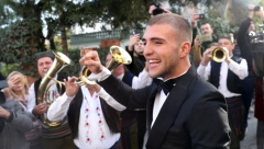 CECIN VELJKO ODE U FARMERE! Ražnatović kupio farmu svinja i iskeširao 50.000 evra, bokseru cveta novi biznis!