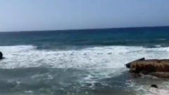 NEMOJTE SE ZAVARAVATI Ako primetite ovo u blizini obale, ne ulazite u vodu, stručnjaci upozorili na opasnost