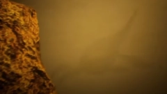 EUREKA Čuveno čudovište iz Loh Nesa je u stvari PE*IS kita dužine 1,8 m! (VIDEO)