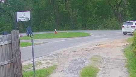 POKUŠAJ OTMICE USRED DANA Jedanestogodišnja devojčica branila se sama od otmičara koji je bio naoružan (VIDEO)