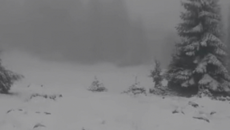 MAJSKI SNEG Vlašić osvanuo pod belim pokrivačem, temperatura u minusu (VIDEO)
