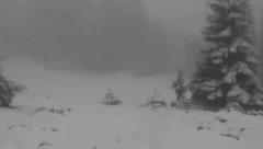 MAJSKI SNEG Vlašić osvanuo pod belim pokrivačem, temperatura u minusu (VIDEO)