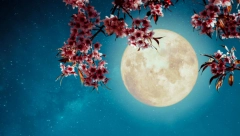 "SUPERMESEC" U ČETVRTAK DONOSI ČUDESNU ENERGIJU: Spremite se za pozitivna iznenađenja i neočekivane preokrete