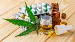 U toku je prvo kliničko ispitivanje kanabisa za lečenje migrene: Kako će ovo da nam reši probleme?