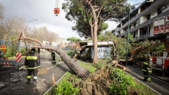 Luizijani se približava najjači uragan od sredine 19 veka, naređena evakuacija u Nju Orleansu