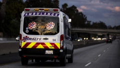 ŠEST DEVOJČICA STRADALO U NESREĆI U AMERICI Našli tela kraj prevrnutog vozila! (VIDEO)