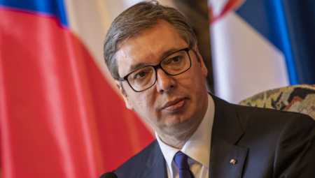 TEŠKO DA MIŠ POPUT ALKALAJA MOŽE DA UZNEMIRI LAVA Vujadinović reagovao na izjavu ambasadora BiH u UN-a