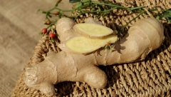 ĐUMBIR - ČUDOTVORNI KOREN Prirodno i zdravo, čini čuda za vaš organizam