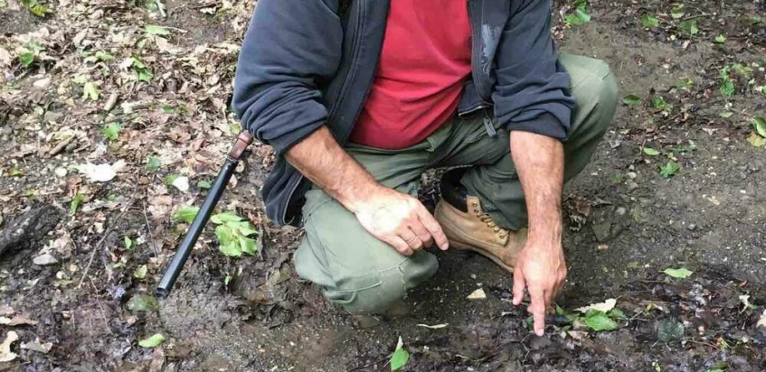 LOVIŠTE VRŠAČKE PLANINE ZARAŽENO Nađeni leševi divljih svinja pokošenih svinjskom kugom