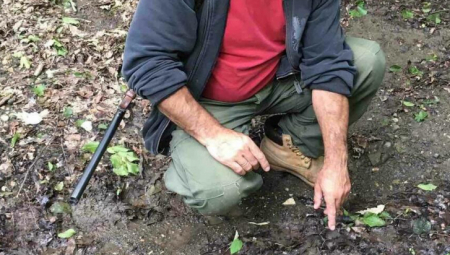 IDENTIFIKOVAN LOVAC KOJI JE RANIO DEČAKA KOD PIROTA: Detalji ranjavanja mališana
