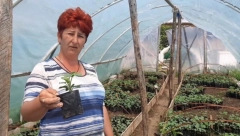 JELENA IZ RAJKOVCA KOD TOPOLE NIJE ČEKALA DA JOJ PADNE S NEBA: Sama razvila biznis, počela uz oca a sad ih prodaje na hiljade