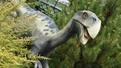 NEKE STVARI SE DOVODE U PITANJE Više od pola amerikanaca sa sigurnošću tvrdi da dinosaurusi i dalje nastanjuju našu planetu!