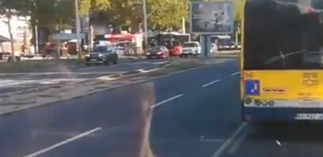 DETALJI DRAME NA LINIJI 56 Ne samo što je pretukao vozača već i dva starija putnika