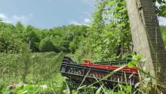 Malinari iz sela Jakalj u šoku: Tokom noći nepoznati počionioci upali u malinjake i pokosili stabljike, šteta preko 1.000 evra