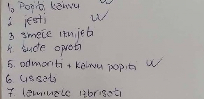 SVIMA TREBA OVAKVA LISTA Žena objavila spisak obaveza za taj dan i oduševila sve na društvenoj mreži: "Smejala sam se ceo dan, ali sam odlučila i ja slično da uradim"
