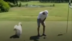 PRIJAVA ZA UBISTVO LABUDA