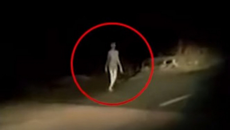 ŠOKANTAN PRIZOR Pre samo nekoliko dana vanzemaljac uhvaćen u šetnji: Nije šala! (VIDEO)